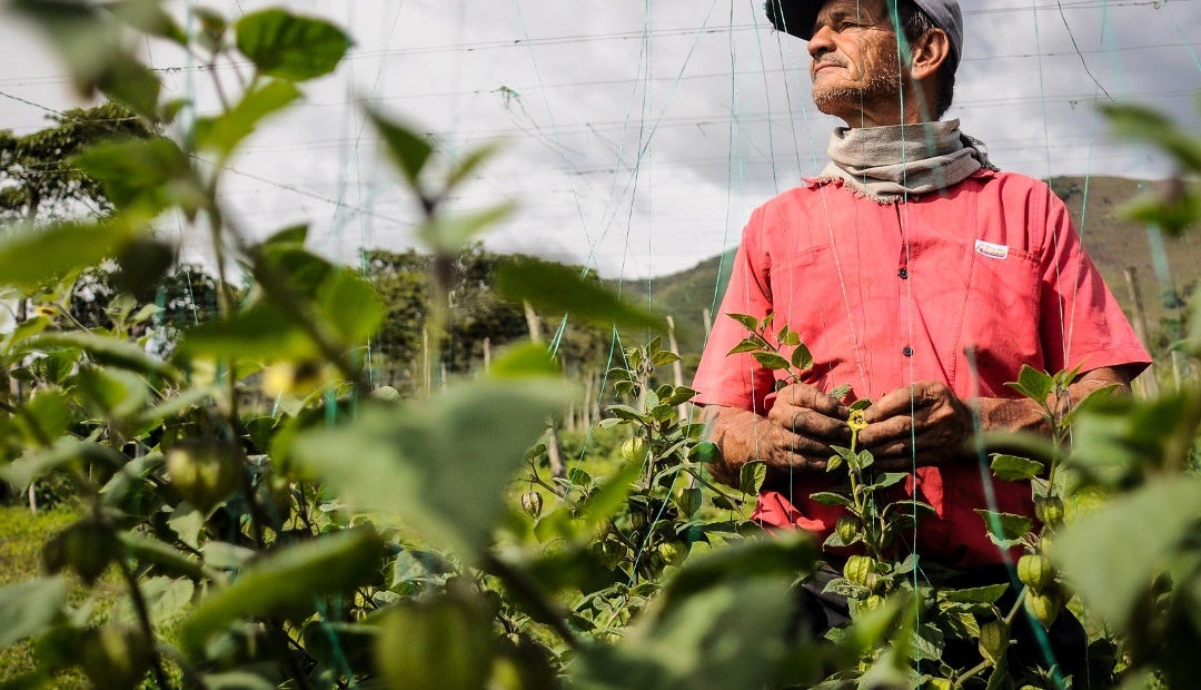 Fao Realizar La Segunda Jornada De Talleres Para Apropiar La Ley De