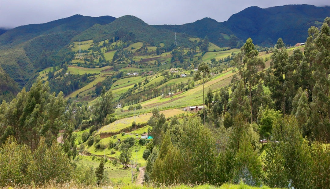 El año pasado Colombia perdió más de 177 000 hectáreas de bosques