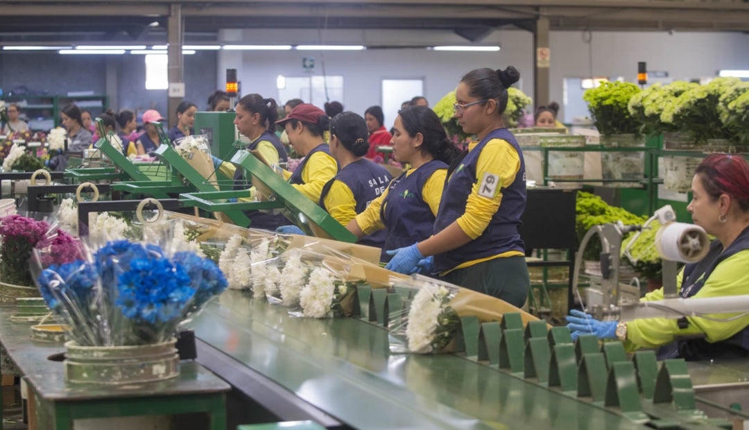 En Colombia Export Toneladas De Flores Y La Industria