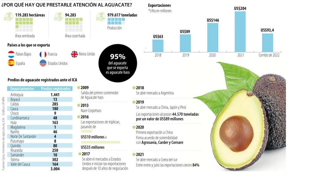 El aguacate se posiciona en el quinto renglón de las exportaciones