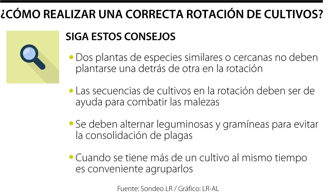 Rotaci N De Cultivos Una Pr Ctica Agr Cola Para Fertilizar Los Suelos