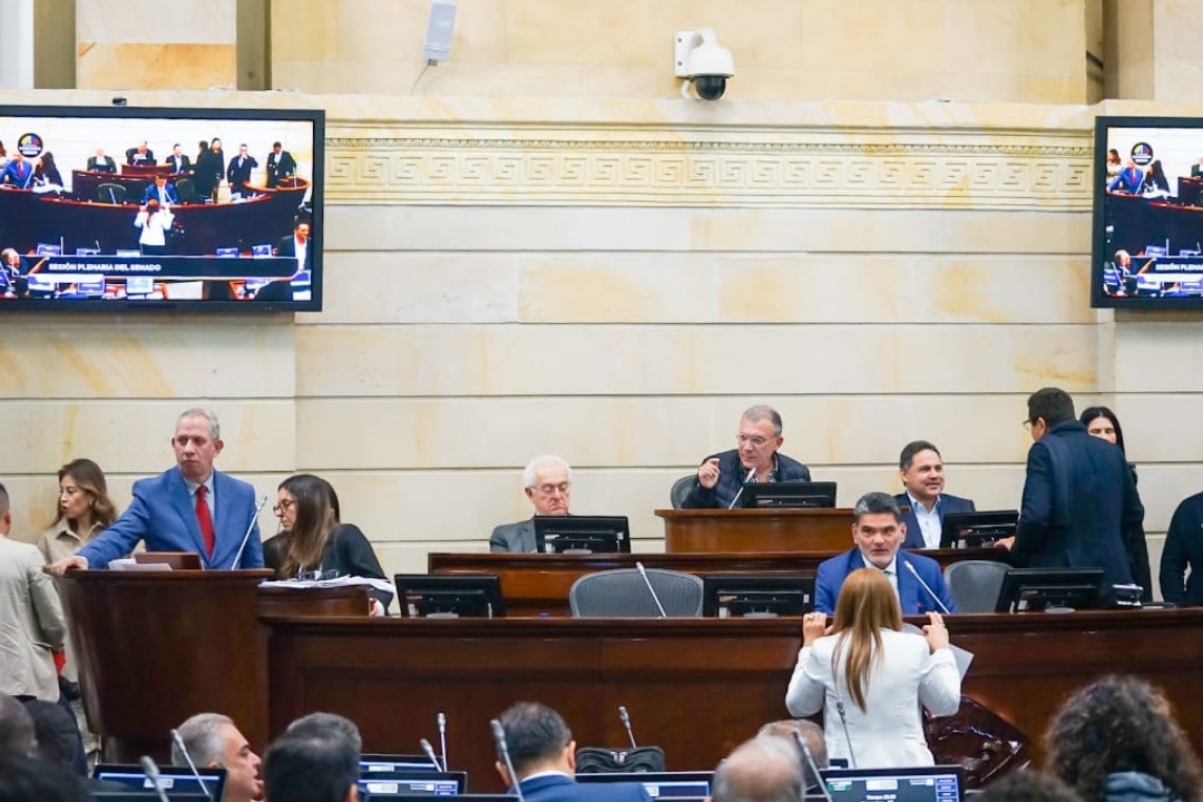 En segundo debate en Senado se aprobó proyecto de ley para prohibición