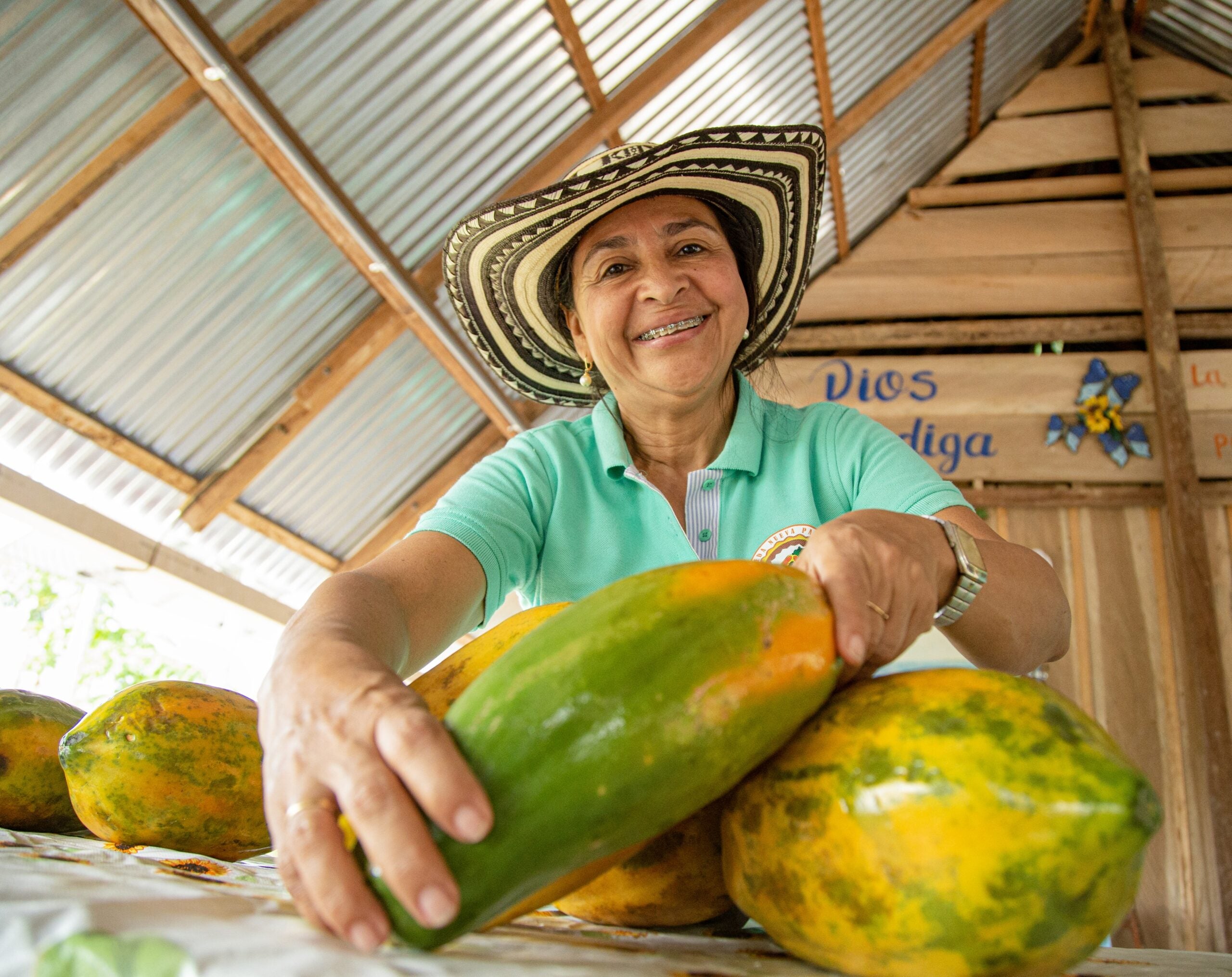 Colombia Est Dentro Del Podio De Los Mayores Productores De Papaya En