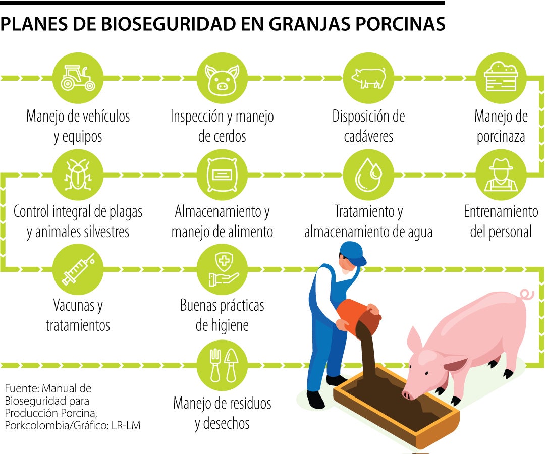 Las claves para implementar una granja porcina con altos estándares de