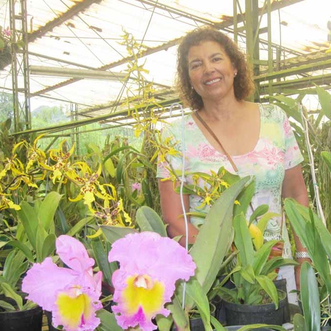 Cultivo de orquídeas: el pasatiempo que se convirtió en un negocio cada vez  más rentable