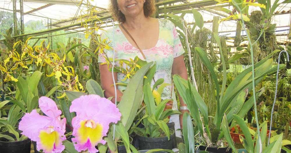 Cultivo de orquídeas: el pasatiempo que se convirtió en un negocio cada vez  más rentable
