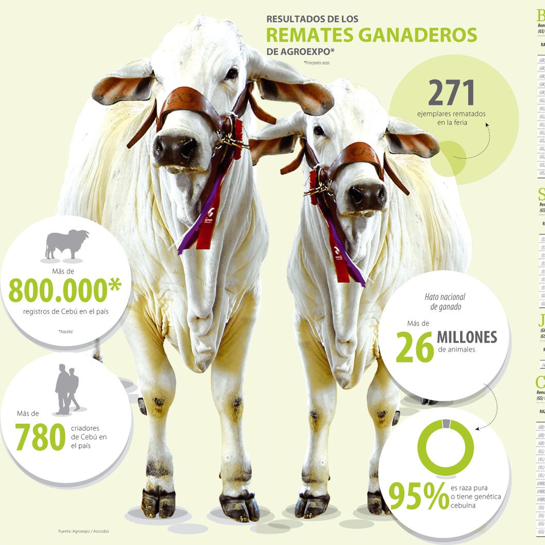 Razas Cebú y Simmental lideraron remates de Agroexpo
