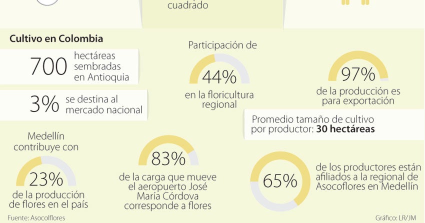 Las hortensias nacionales compiten con las chinas