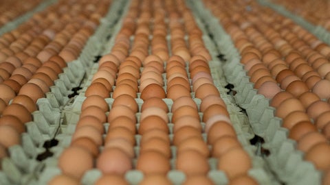 Huevos - Reuters