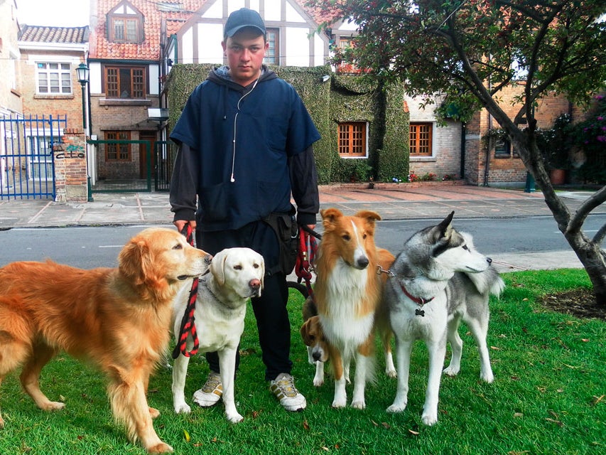 Paseadores de perros, el negocio en auge en los barrios 'ricos' de