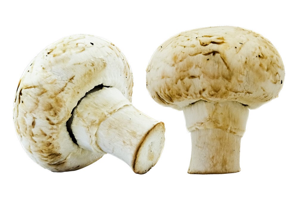 champinones0730-1000