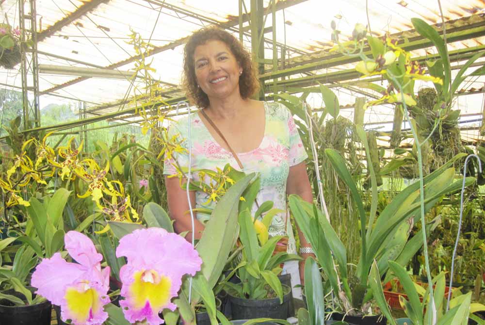 Cultivo de orquídeas: el pasatiempo que se convirtió en un negocio cada vez  más rentable
