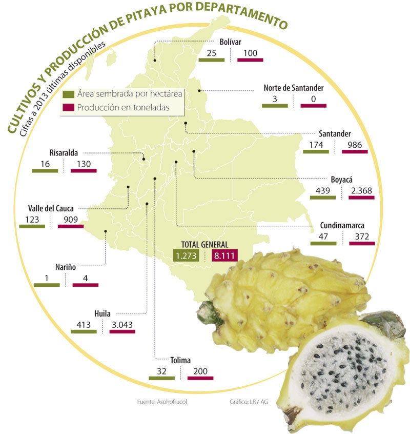 pitaya