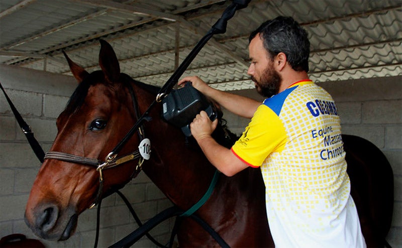 caballo