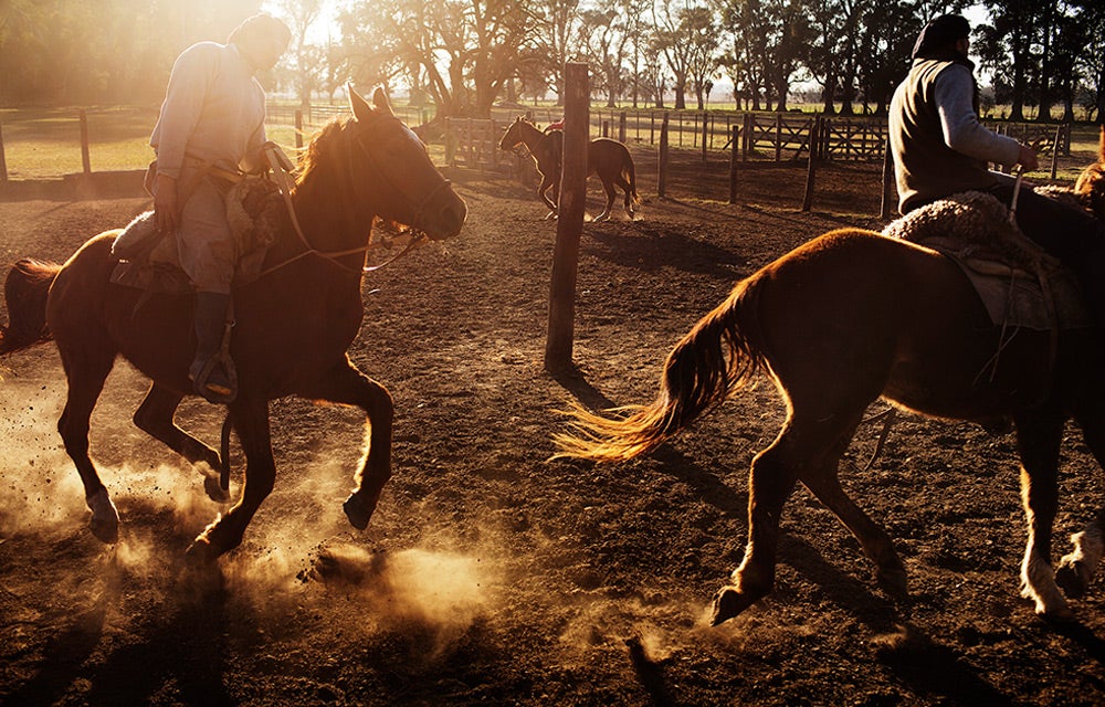 caballos0712