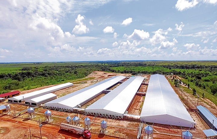 fazenda0802