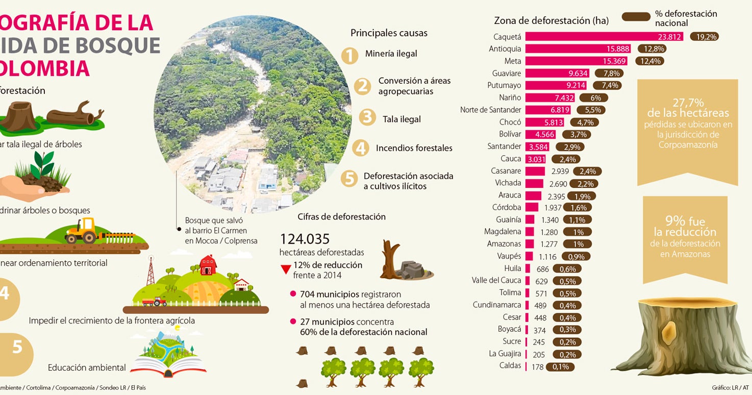 Cinco apuestas para reducir la deforestación nacional