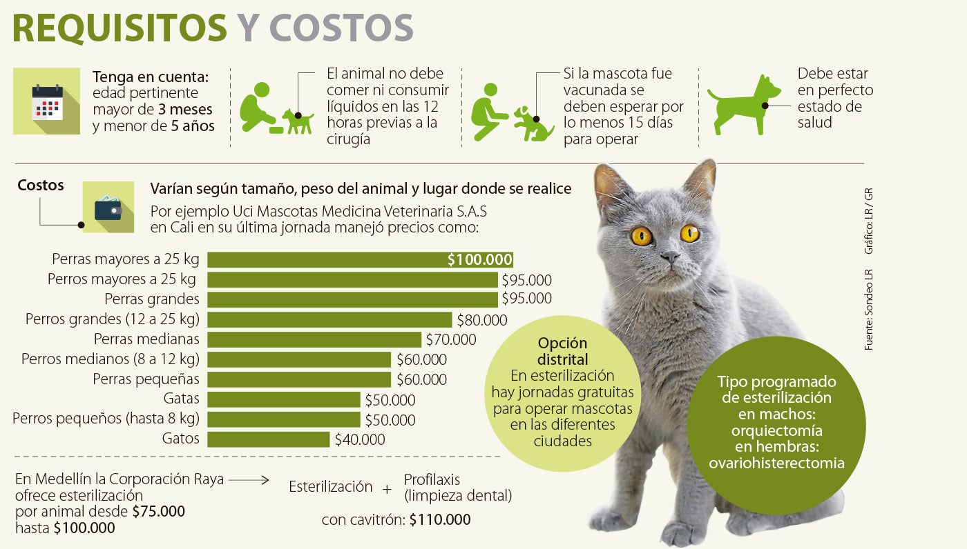 enfermedad Confirmación Admisión El procedimiento para esterilizar a su mascota le puede costar entre  $40.000 y $100.000
