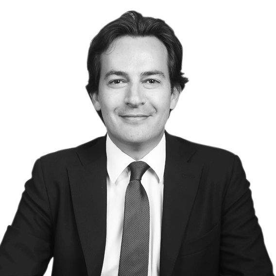 Martín Escobar Hoyos, Análisis legal, judicial y el impacto de las ...