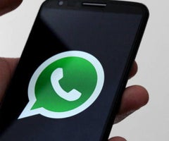 COLP_EC_006761_379b2