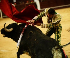 Toros Toros