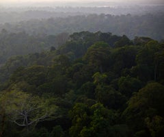 Amazonía brasilera Amazonía brasilera