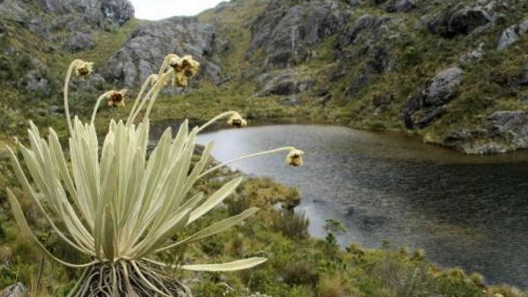 Páramo de Santurbán