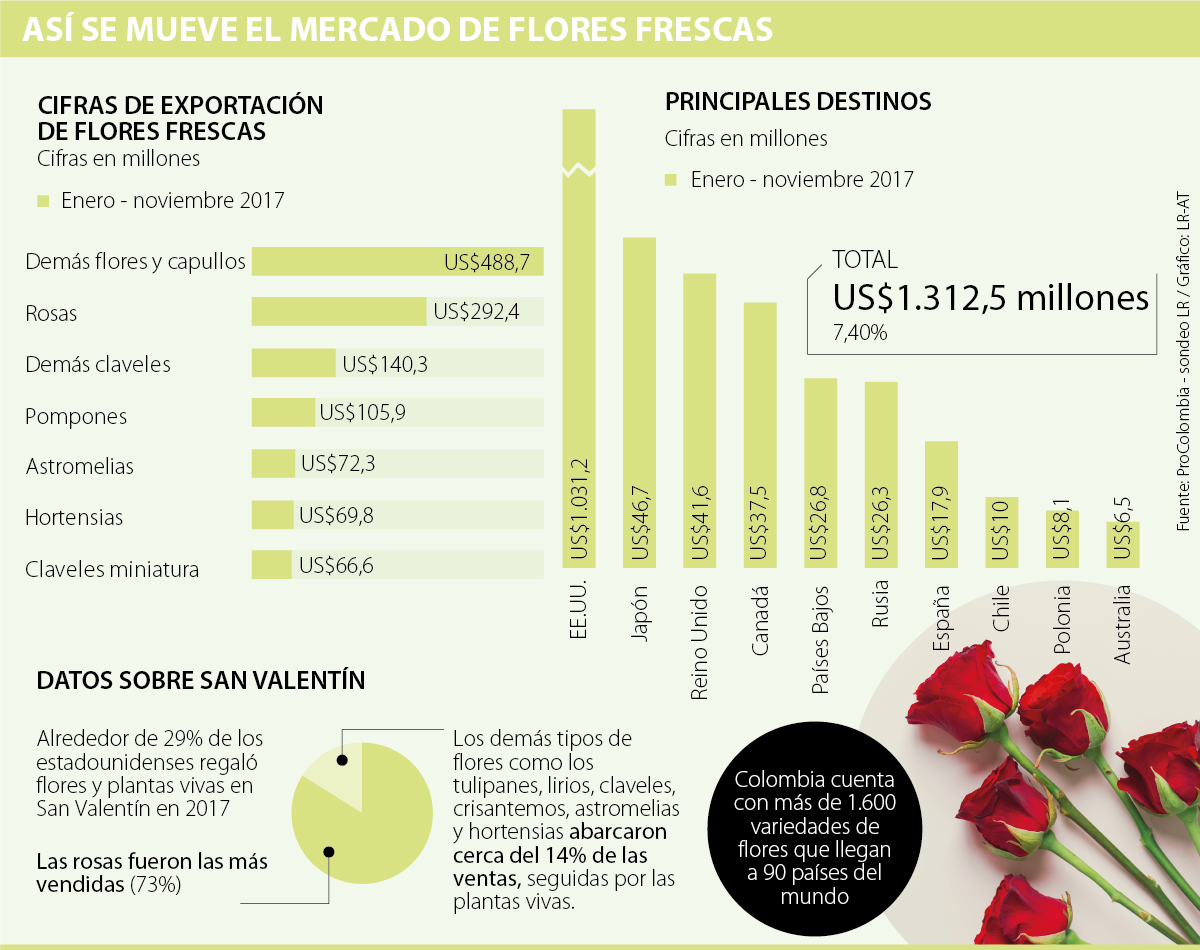 Floricultores esperan un aumento de 10% en exportaciones por San Valentín