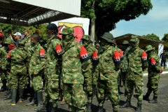 ELN1