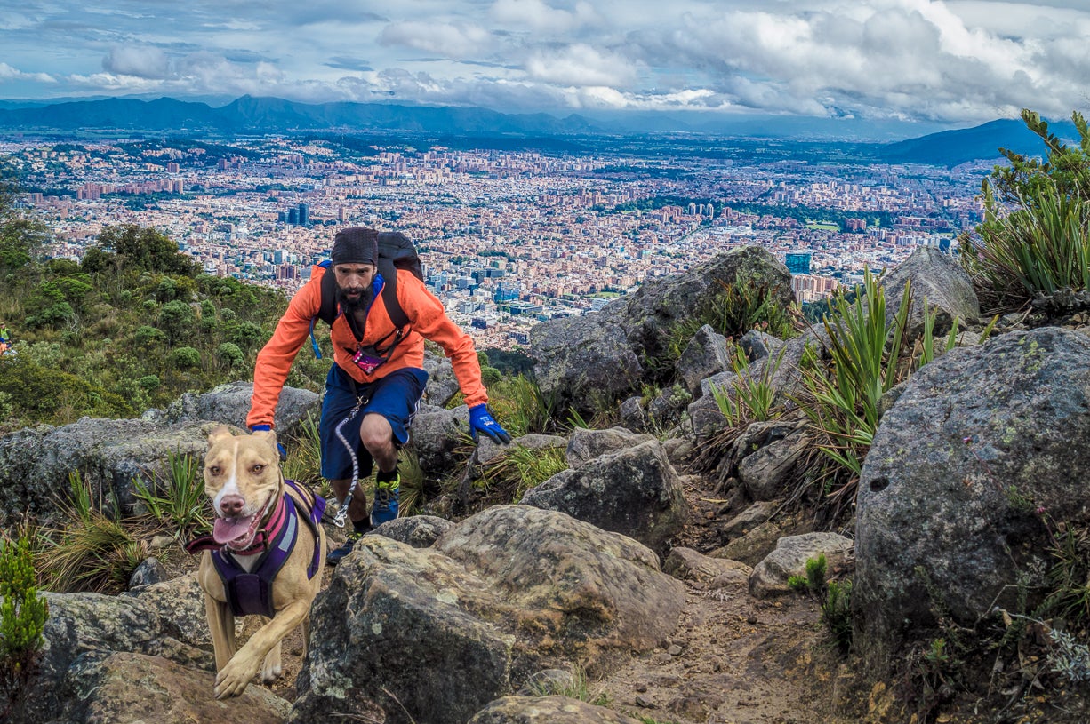 Canicross, Bikejoring y Scooter Joring, los deportes de moda para
