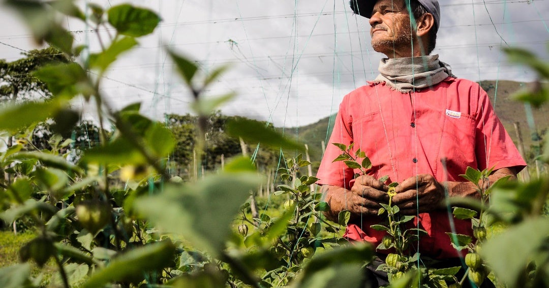 sena y fao se alian para capacitar y