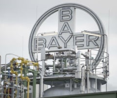 Bayer-Bloomberg-