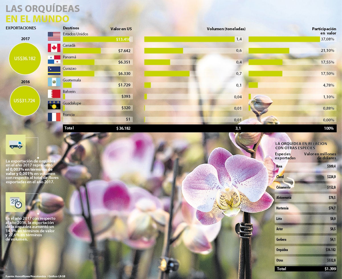 Las exportaciones de orquídeas crecieron 14,1% y su principal destino fue  EE.UU.