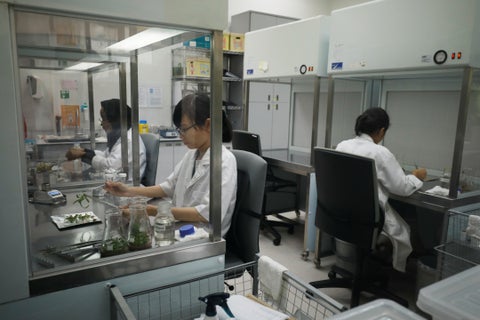 laboratorio