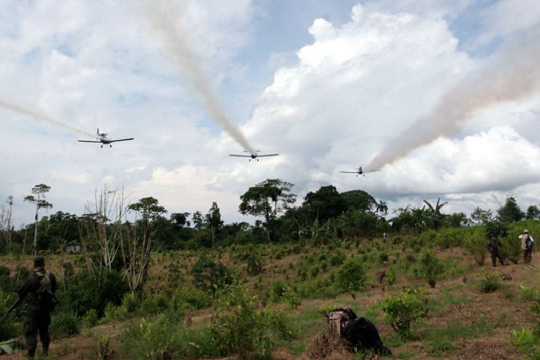 Colombia Autoriza Uso De Drones Para Fumigar Cultivos De Hoja De Coca ...