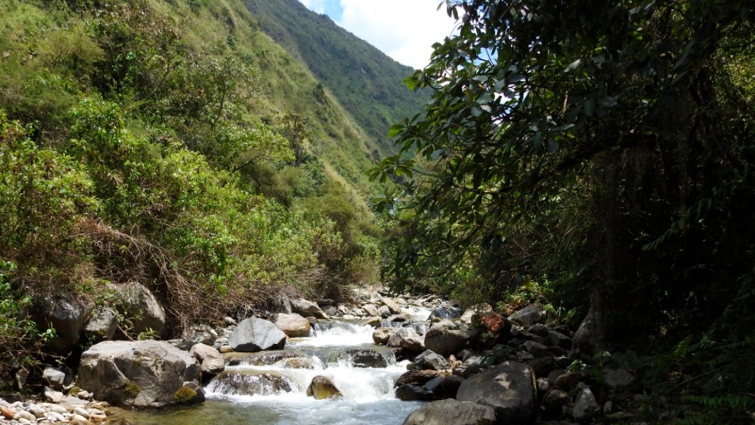 PARQUE-ECOLÓGICO-PROVIDENCIA-21