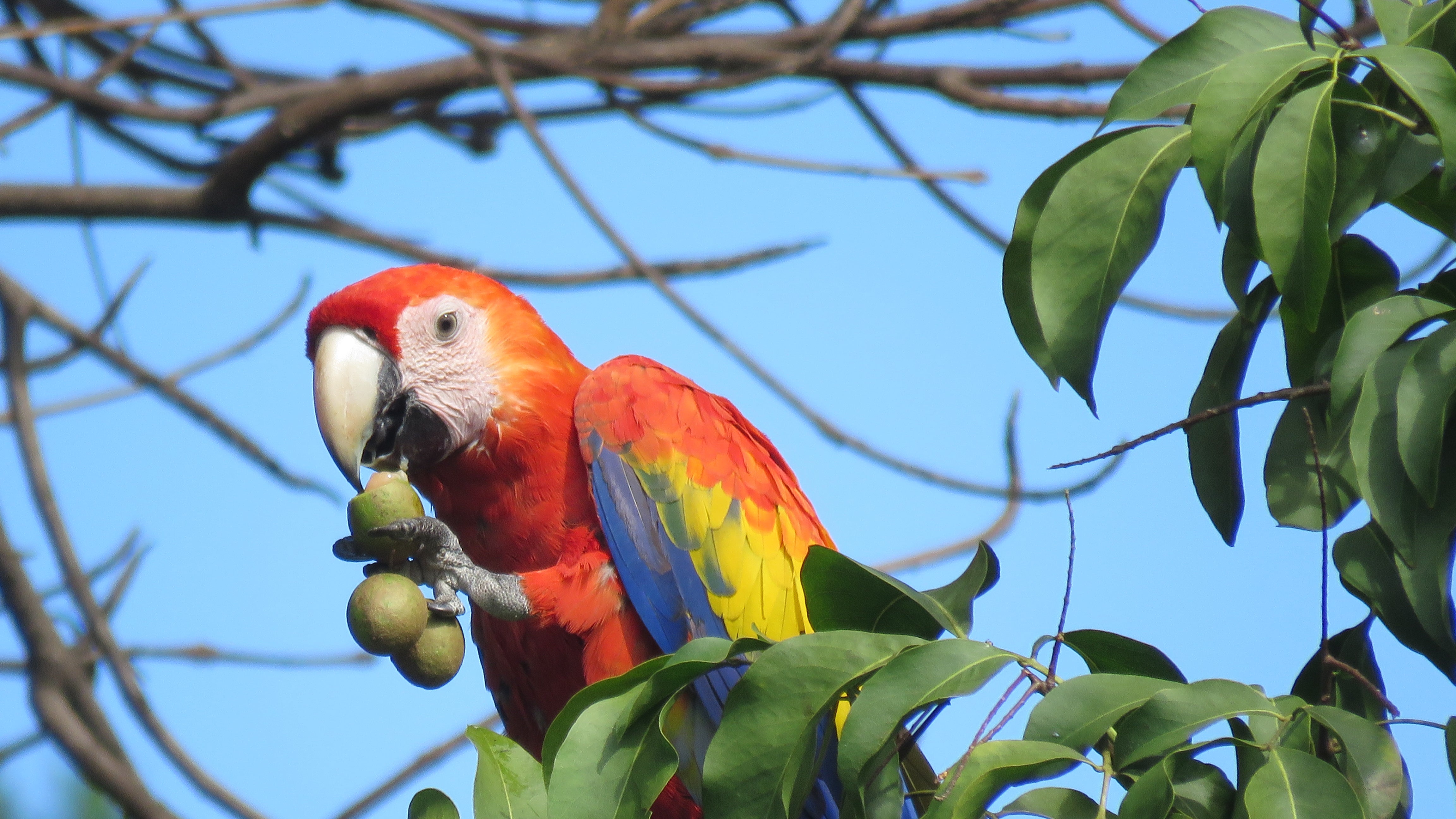 PARQUE-ECOLÓGICO-PROVIDENCIA-25