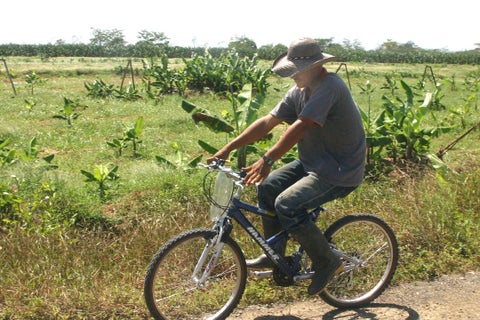 Foto-agro-AL