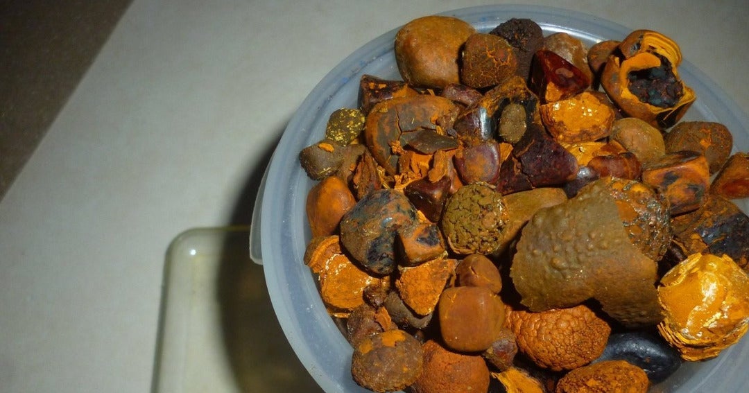 piedra de la vaca como se usa piedra de la vaca como se usa