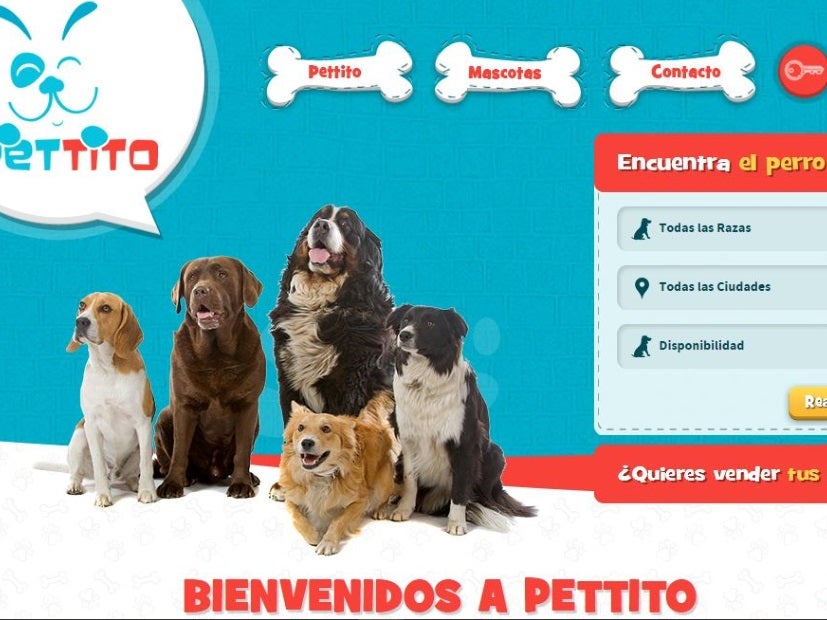 puedes vender cachorros a una tienda de mascotas