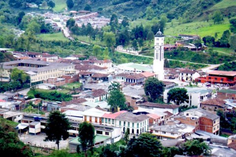 Sin-título