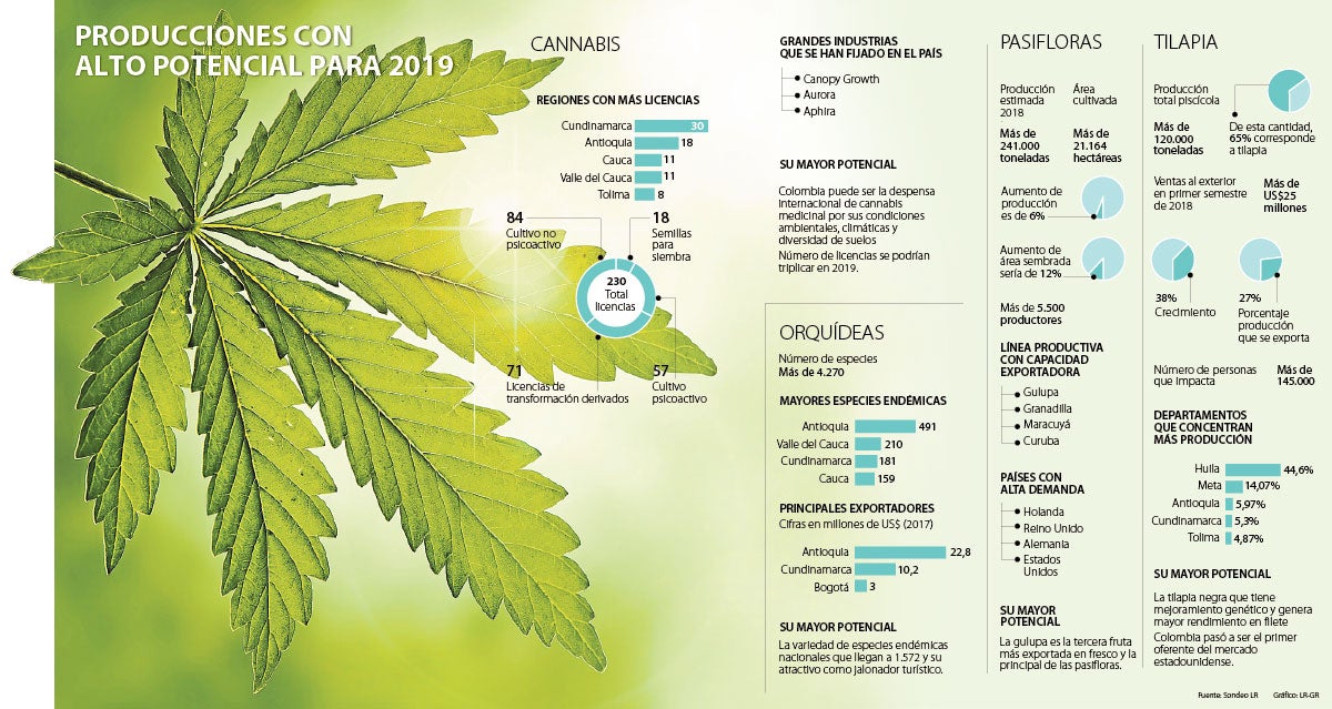 Cuáles Serán Los Cultivos Y Producciones Más Rentables En Colombia Para