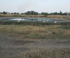 sequia Predios con déficit de agua por sequías. Foto: Colprensa
