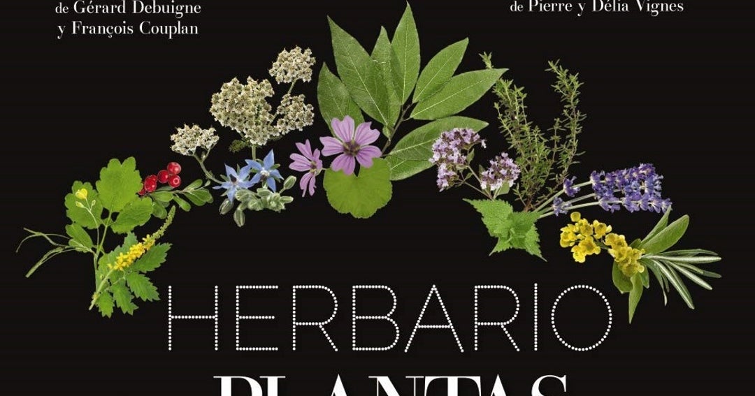 Herbario De Plantas Silvestres 