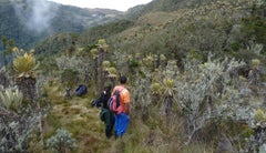 Paramos