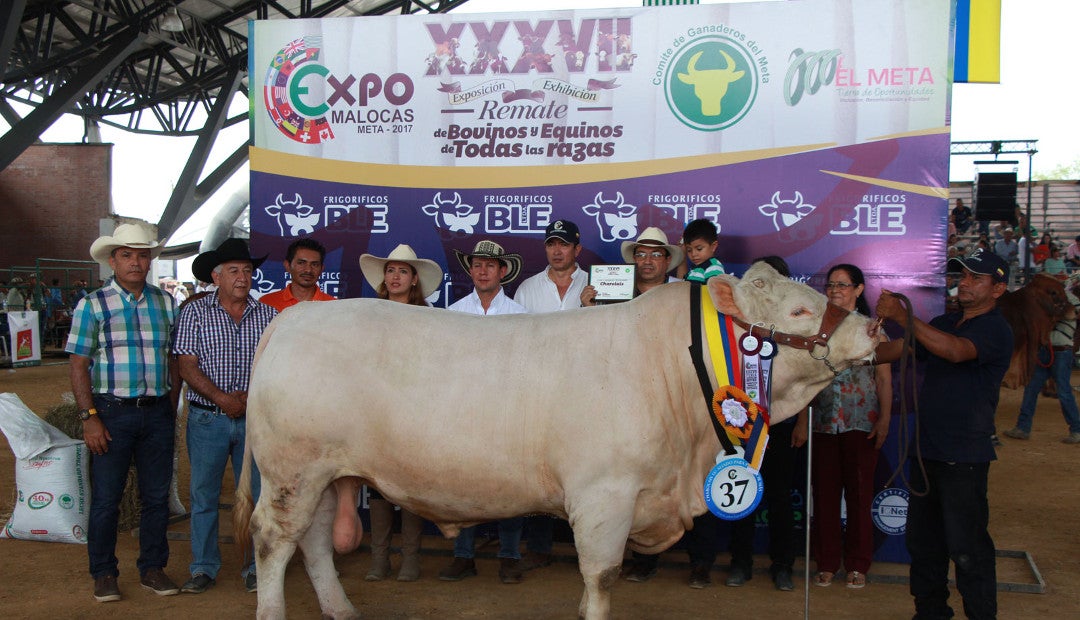 Comenzó La Edición 2019 De La Feria Ganadera Y Equina Expomalocas En ...