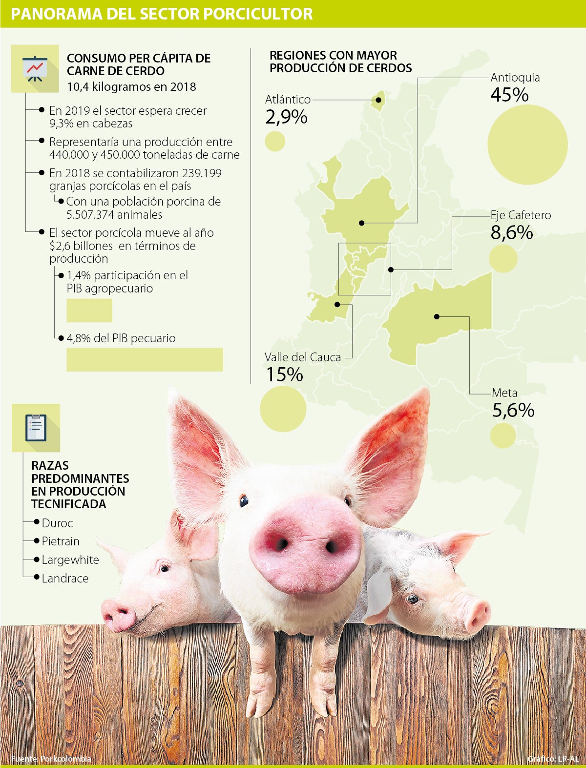 El Sector Porcícola Colombiano Mueve Al Año 26 Billones En Términos De Producción 3063