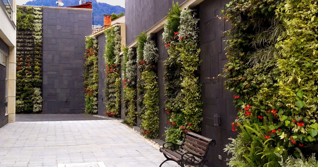 cuidados de tener un muro verde