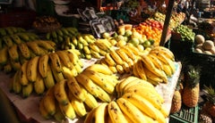 Banano - Corabastos