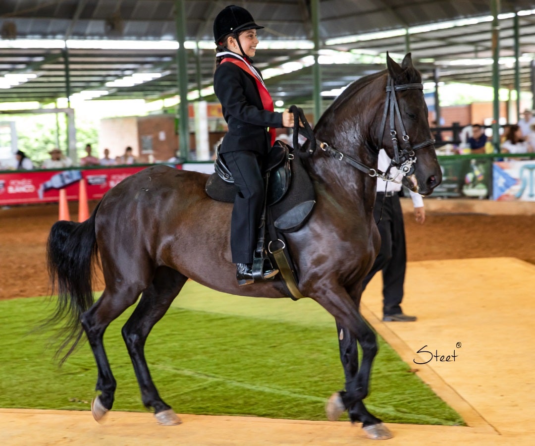Chalanería - Jorge Restrepo